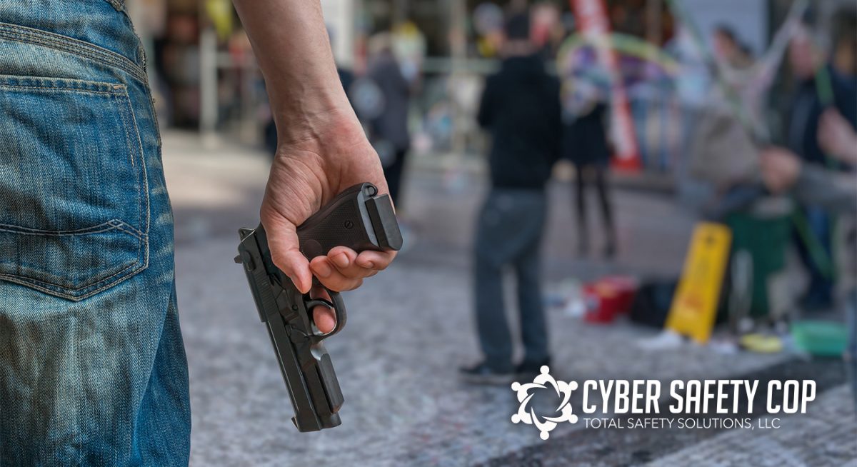 A person holding a handgun in their right hand stands in a blurred outdoor public area, with the Cyber Safety Cop logo and text "Total Safety Solutions, LLC" in the bottom right corner.